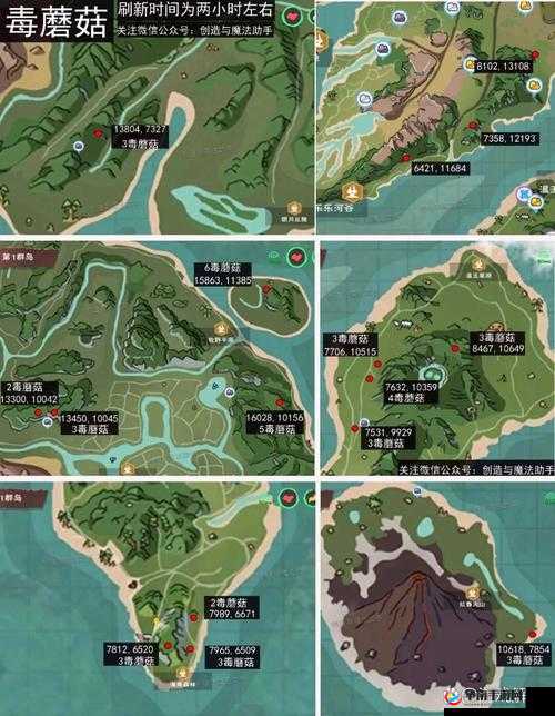 如何在创造与魔法中骑狼？揭秘资源管理技巧与最大化价值疑问