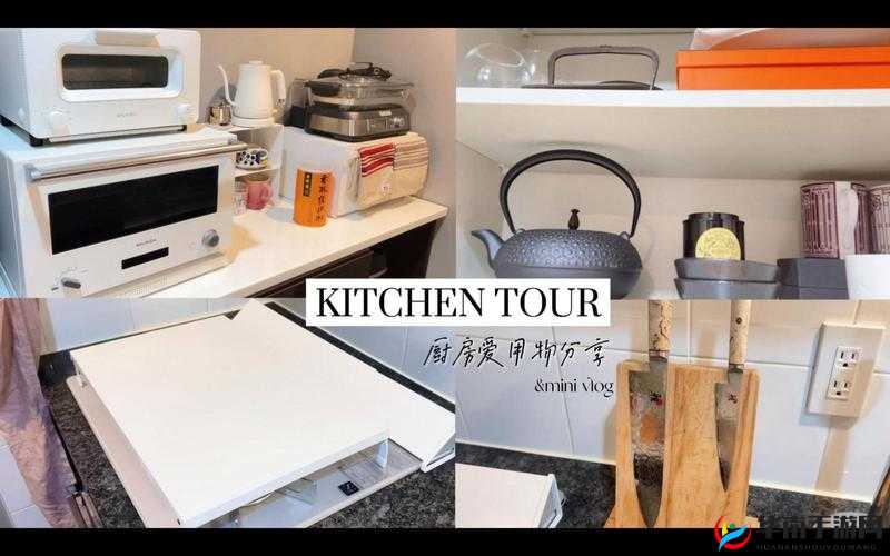 揭秘japanese厨房乱tub偷背后的真相：如何避免类似事件发生？