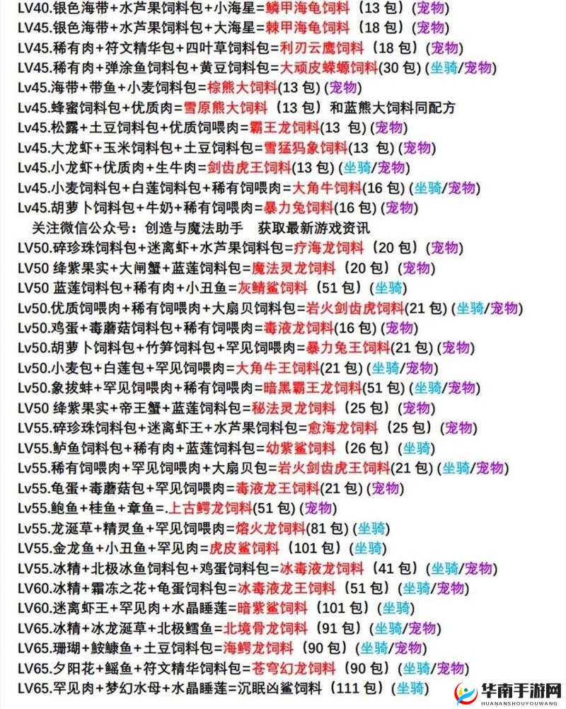 创造与魔法游戏中，如何正确喂养坐骑才能让它们健康成长？