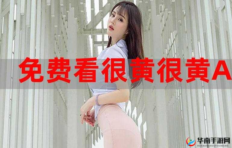 探索AA片免费网站：最新资源推荐与安全访问指南，轻松获取高清影片资源