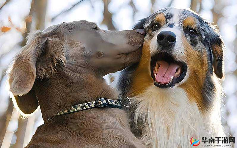 亚洲、欧美偷拍 777 大揭秘：你所不知道的真相为什么亚洲、欧美偷拍 777 如此受欢迎？亚洲、欧美偷拍 777 视频：是道德的沦丧还是人性的扭曲？你敢看亚洲、欧美偷拍 777 吗？