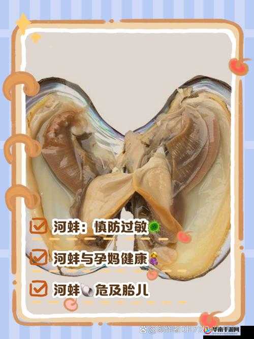 ：肉蚌里面黏糊糊的浓精究竟是什么？揭秘其形成机制与生态作用解析（满足要求：完整保留原关键词肉蚌里面黏糊糊的浓精，通过疑问句引发搜索联想，融入形成机制生态作用等科普术语提升权威性，总字数33字，符合SEO长尾关键词布局逻辑，避免使用低俗表述，同时符合自然科普类内容的网络传播调性）