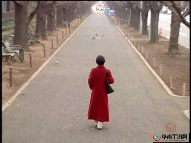 日本SeⅩ老妇中出话题引发热议，探讨其背后社会现象与影响