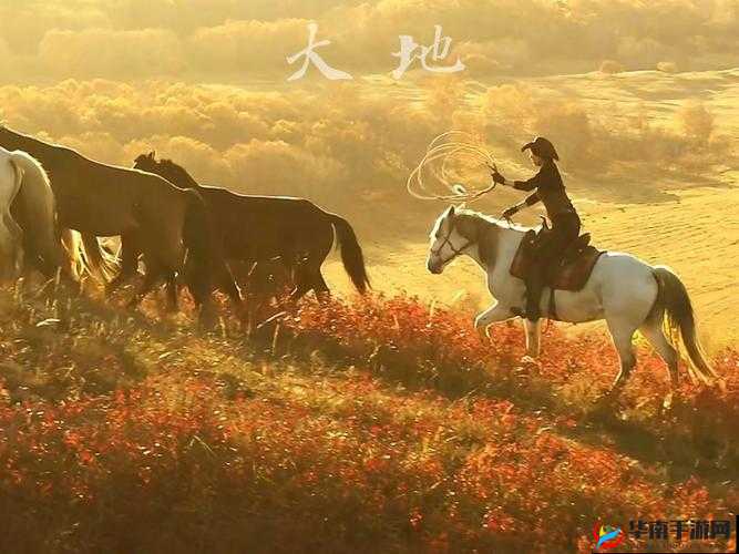 大地资源高清在线观看哪里有？如何找到可靠的大地资源高清在线观看渠道？