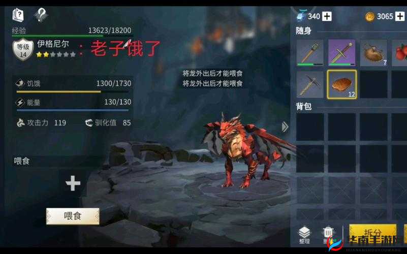 冰原守卫者面临危机，如果神秘巨龙飞走了，该如何应对？全面攻略来袭！