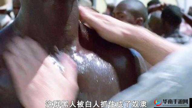 探索非洲黑人裸体BBw文化的独特魅力与历史背景：深度解析其艺术表现与社会意义