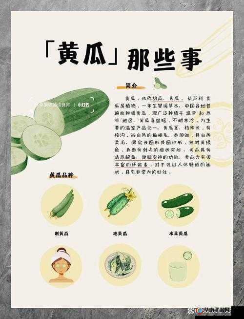 🍑大黄瓜🥒，你了解多少？这可是个神奇的话题