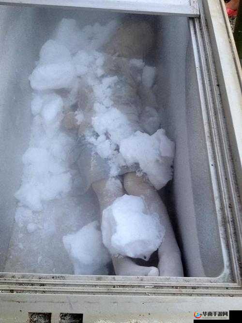 1980 年法国一女佣离奇死亡，尸检后发现体内有大量水银，是谁下的毒手？