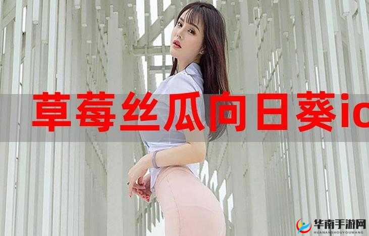 草莓向日葵丝瓜在线观看：高清完整版免费观看，最新热门影视资源一网打尽