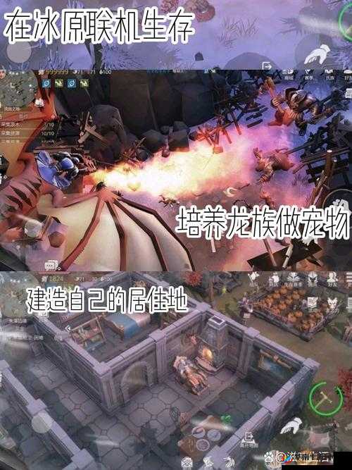 冰原守卫者龙升星秘籍，未来玩法将如何掀起革命性变革？
