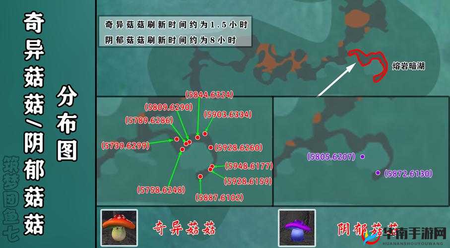 创造与魔法中战宠如何捕捉？深度技巧与实战策略全面解析