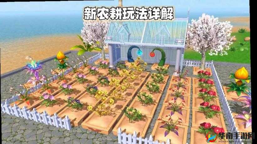 创造与魔法新农耕系统怎么玩？全面攻略带你解锁种植新谜团！
