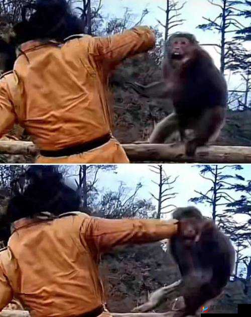 打扑生猴子怎么打？全网求解打扑生猴子的具体打法技巧大揭秘