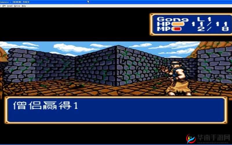 MD光明与黑暗，诸神的遗产攻略揭秘，如何掌握资源管理的终极艺术？