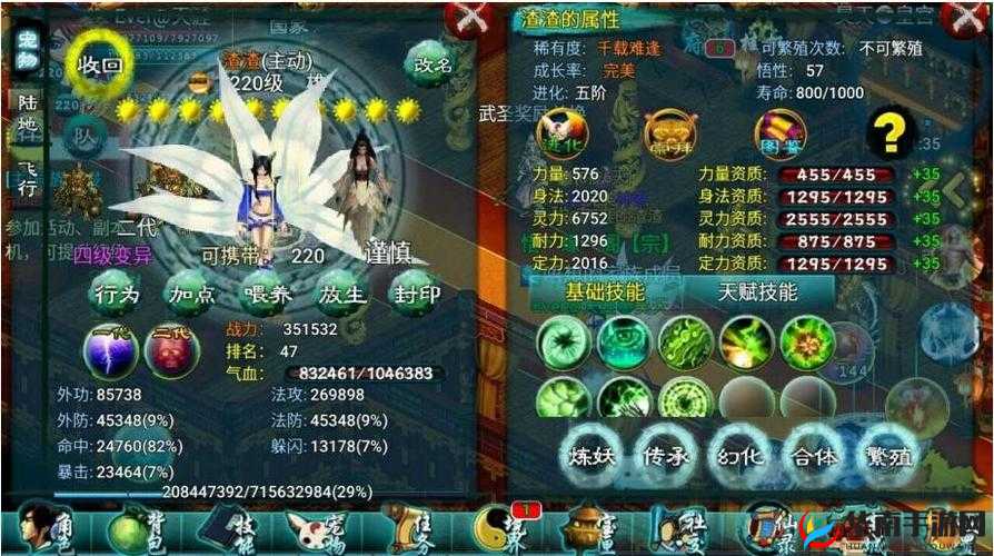 忘仙手游中宠物画仙究竟如何获取，有何神秘途径？