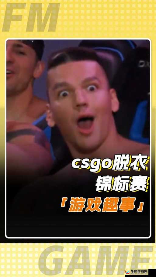 17岁俄罗斯CSGO天才少年崛起，揭秘他的训练秘籍与比赛精彩瞬间