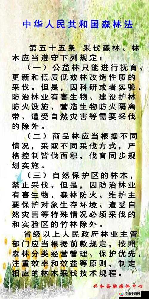冰原守卫者如何高效探索松木树林？资源管理技巧与防浪费秘诀！
