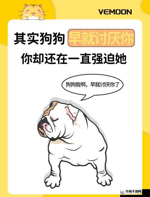 主人总嫌弃我是条狗，这是为什么呢？如何改变这种情况？