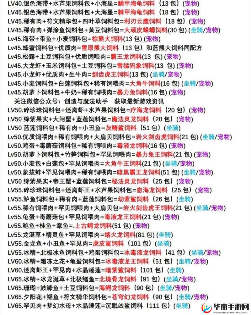 魔法与创造龟究竟吃什么？全新玩法革命将带来哪些惊人预测？