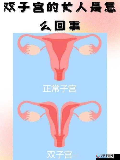 老年另类 BWWBWWBWW 究竟是什么意思？为何引发众人关注与好奇？