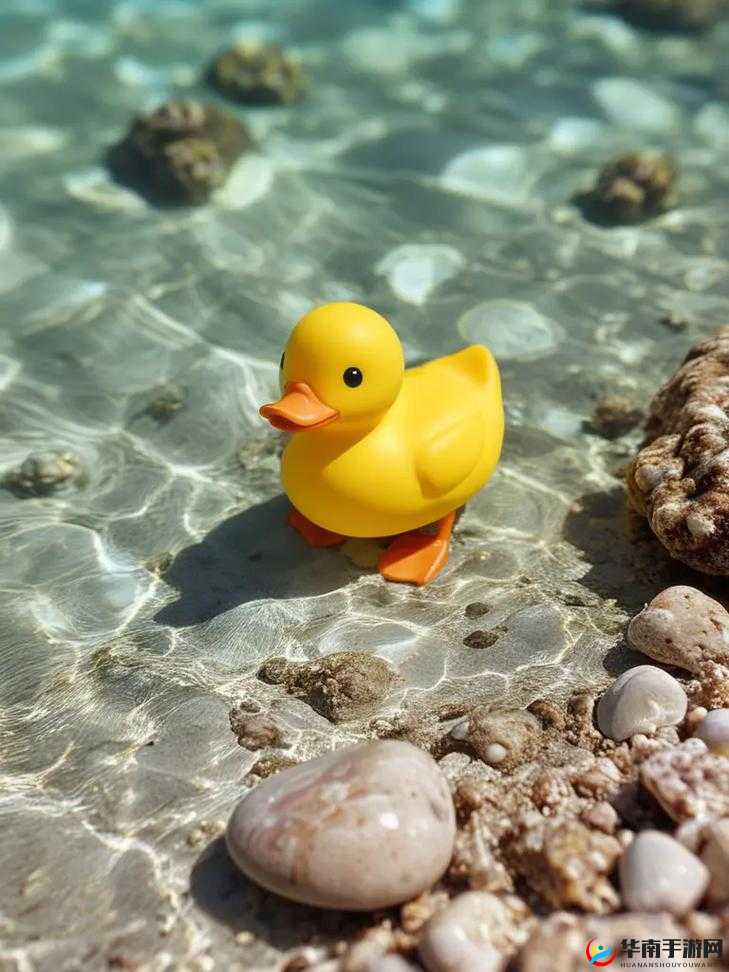 为什么国产一级小黄鸭这么受欢迎？