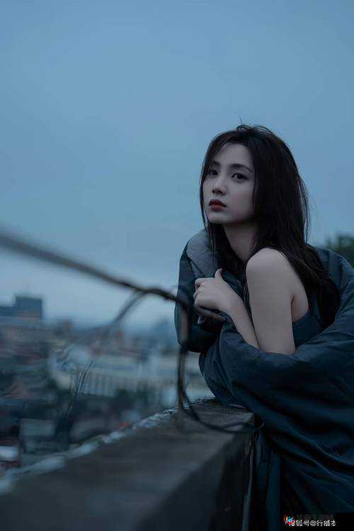 探索肥熟老熟妇600部视频的深度解析：揭秘其中的情感与生活故事，带你走进真实的世界