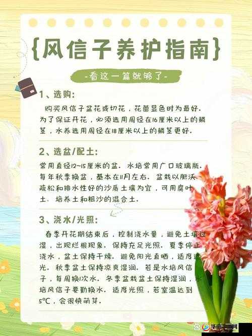 如何提高援助精灵的繁殖效率？这里有一些实用的建议