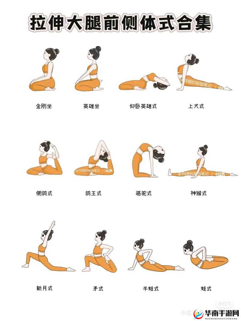 如何正确进行把腿张开自己扒开的拉伸动作？详细步骤与注意事项全解析