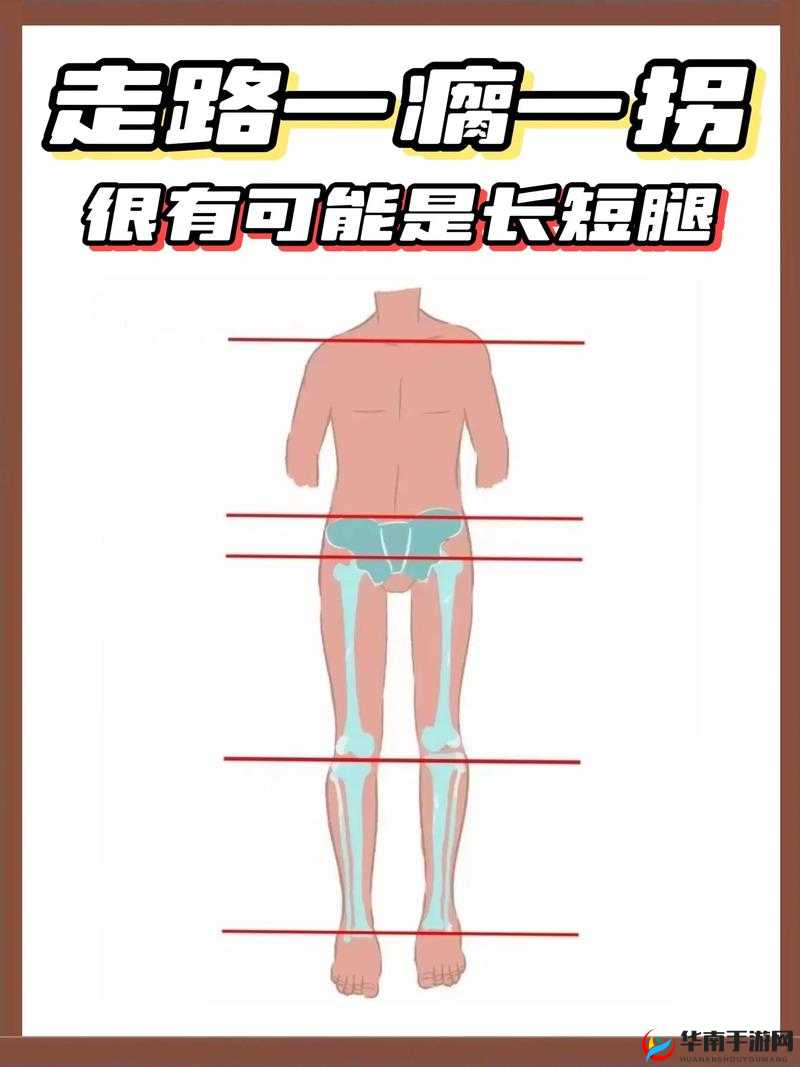 一条腿有多重？揭秘人体腿部重量及其对日常运动的影响