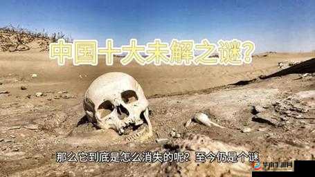 万篇长征黑料不打烊免费观看：揭秘历史背后的真相与未解之谜