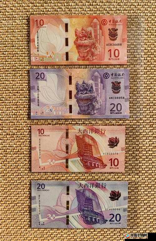 提问：为何澳门普遍使用港币？其背后原因究竟是什么？