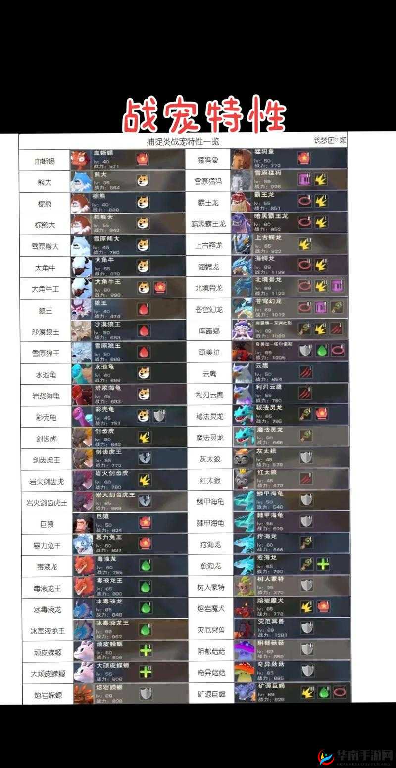 创造与魔法中哪个肉盾宠物更强？全面攻略帮你揭晓！
