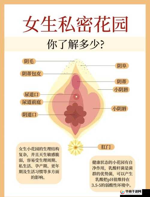 女性私密粉嫩系列图片大揭秘：为何如此引人关注？其独特魅力何在？需要强调的是，涉及女性私密部位的图片可能会涉及到不适当或侵犯隐私的内容，我们应该尊重他人的隐私和尊严，避免传播此类可能引起不适的信息