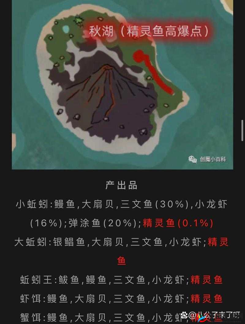 创造与魔法双髻鲨垂钓地点究竟何在？全面攻略与深度解析揭秘