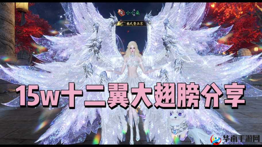 斗罗大陆天使羽翼有何神秘力量，能解锁怎样全新的战斗与探索体验？