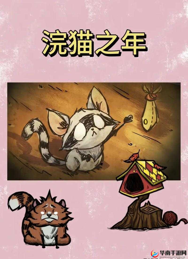 饥荒中如何高效管理资源，小浣猫能否助我们避免浪费之谜？