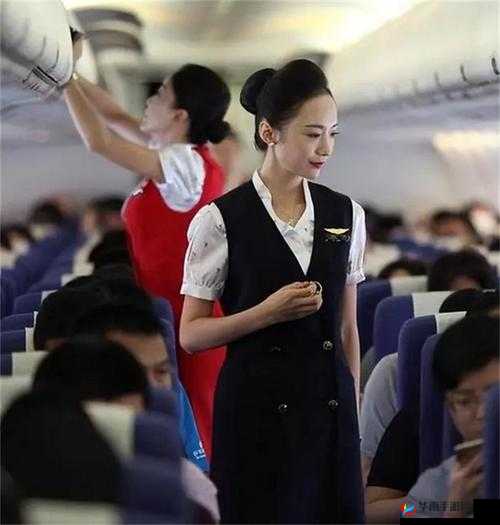 08 年法国空姐究竟有着怎样不为人知的故事？探秘其背后的神秘经历