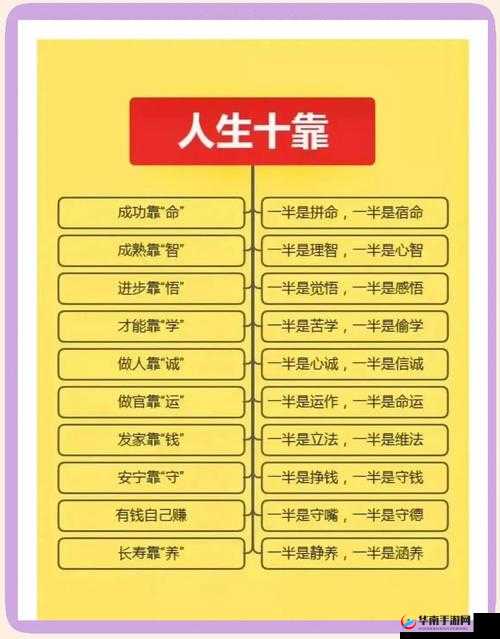 如何像陈志强一样在逆境中崛起？揭秘他的成功秘诀与人生智慧