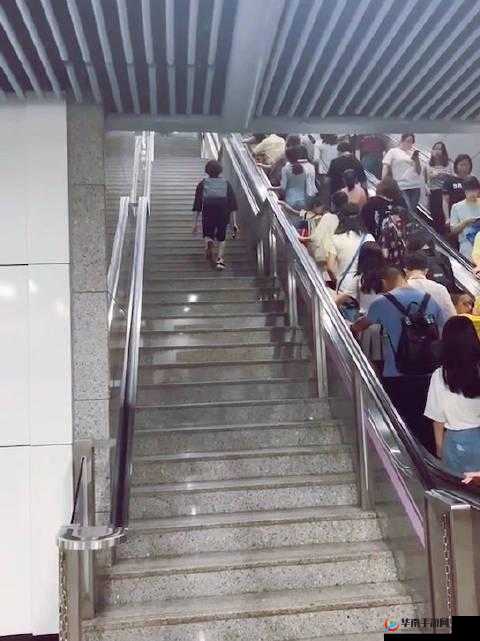 坐公交车被 C：在拥挤的城市中，一段意外的旅程