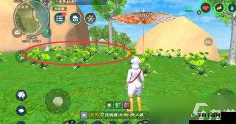 创造与魔法新版本绿色花朵寻觅之旅，探索、创新玩法与深度体验揭秘？