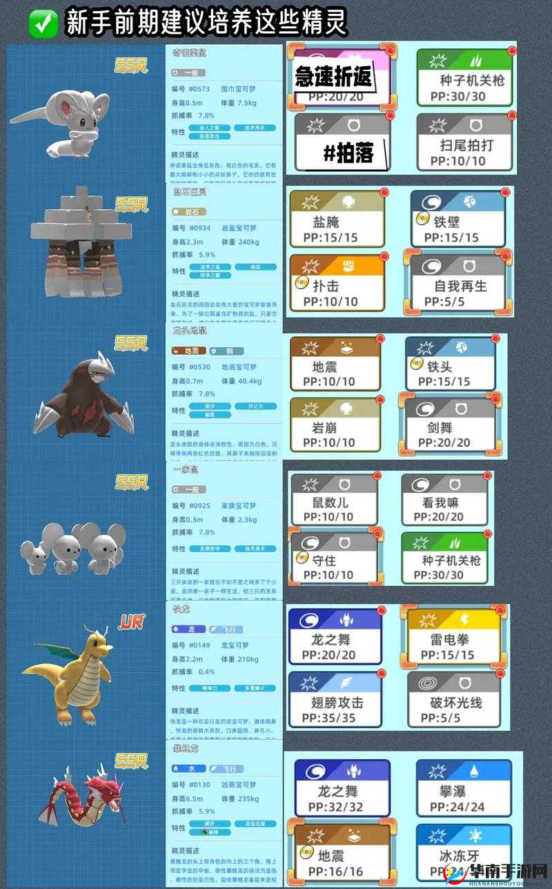 宝可梦探险寻宝新手如何迅速上手？避坑攻略助你少走弯路揭秘！