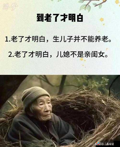 好儿媳中字头：家庭和谐的关键角色解析与现代社会中的价值体现