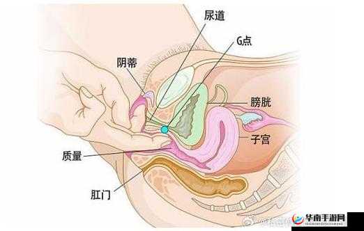 女女之间的私密行为，你了解多少？