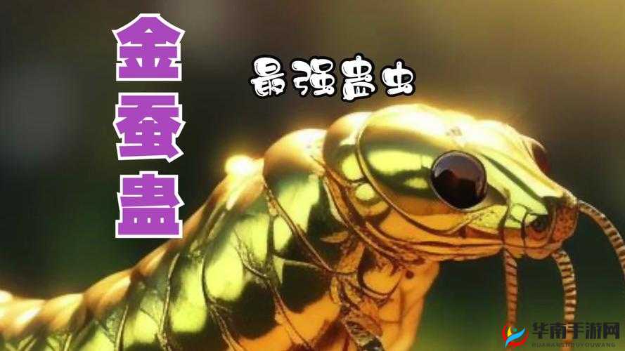 濡沫江湖中如何获取神秘金蚕蛊？金蚕蛊获得方法全揭秘！