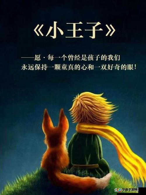 如何玩转小王子的星球？全面攻略揭秘操作技巧与必知注意事项！