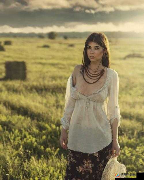 什么是大胆人文艺术欣赏？深入探究其内涵与独特魅力