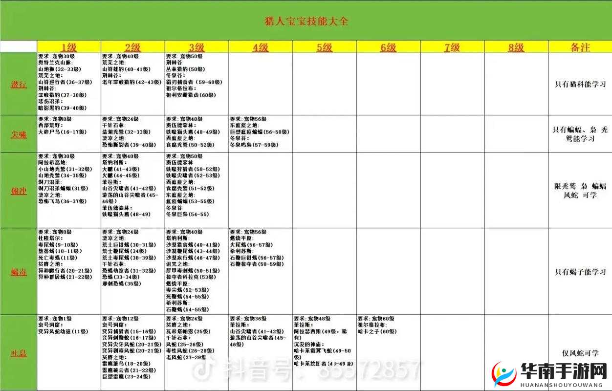 新全职猎人强化石有何神奇功能？新人必看详解揭秘！