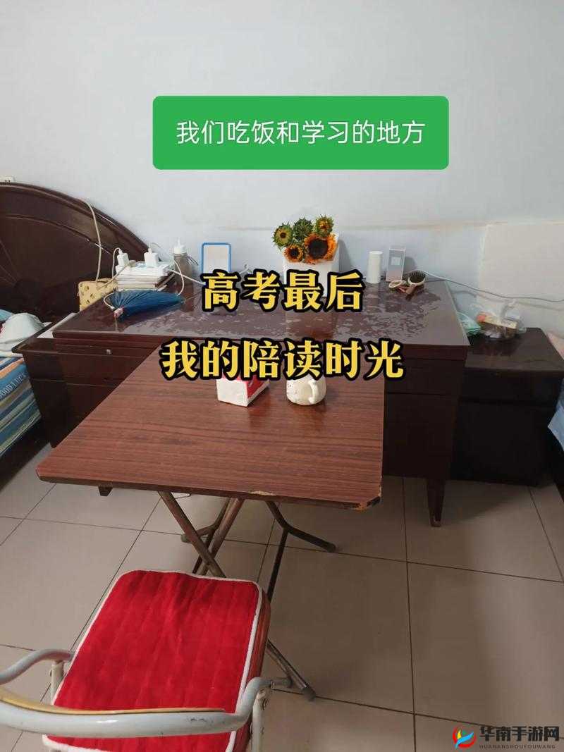 高考陪读乱象调查：家庭、学校、社会如何共同应对？