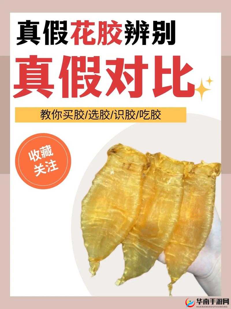 人与动物胶配方视频：揭秘传统与现代胶质制作工艺，实用技巧全解析