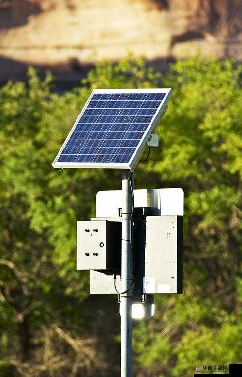 黄公子为什么选择安装太阳能发电板？是为了环保还是为了省钱？